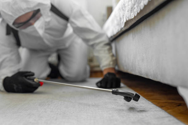 Professional Ant Control technician working in Dexter, OR